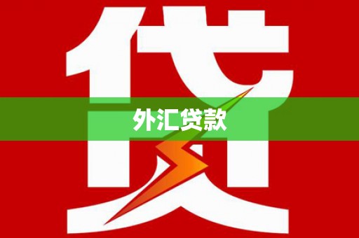 江城外汇贷款