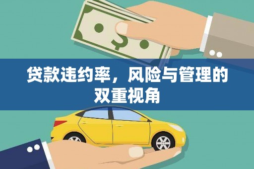 江城贷款违约率，风险与管理的双重视角
