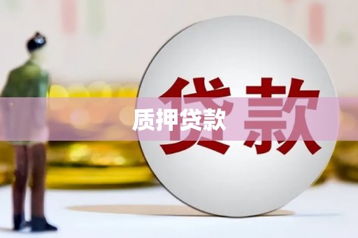 江城质押贷款