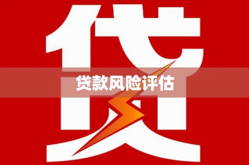 江城贷款风险评估