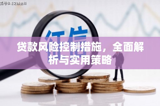 江城贷款风险控制措施，全面解析与实用策略