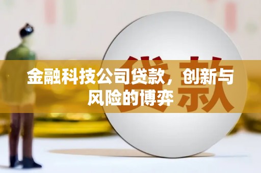 江城金融科技公司贷款，创新与风险的博弈