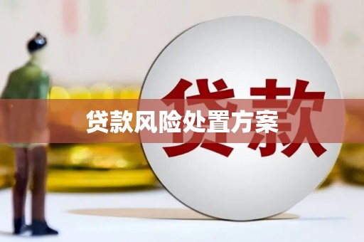 江城贷款风险处置方案