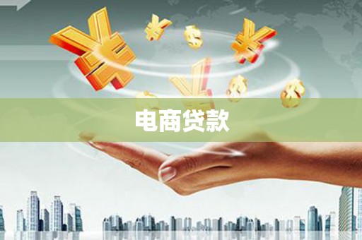 江城电商贷款