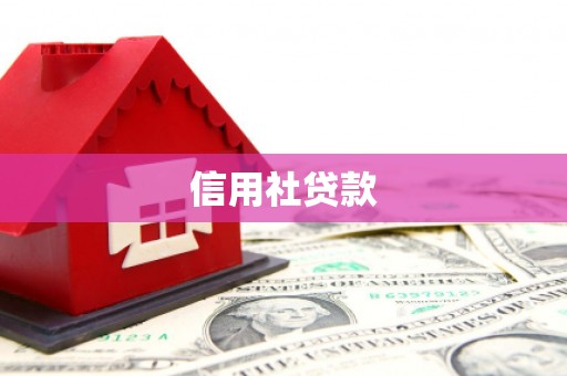 江城信用社贷款