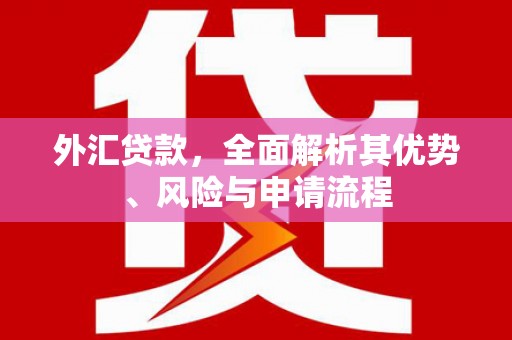 江城外汇贷款，全面解析其优势、风险与申请流程