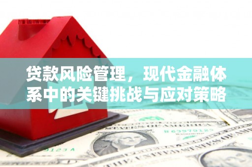 江城贷款风险管理，现代金融体系中的关键挑战与应对策略