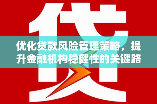 江城优化贷款风险管理策略，提升金融机构稳健性的关键路径