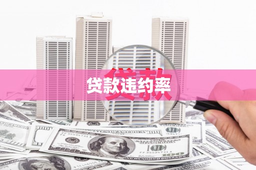 江城贷款违约率