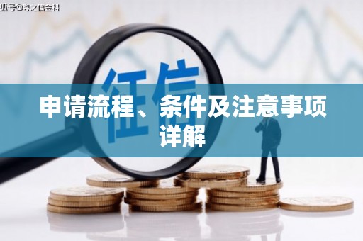 江城申请流程、条件及注意事项详解