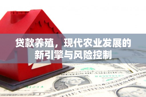 江城贷款养殖，现代农业发展的新引擎与风险控制