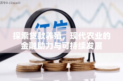 江城探索贷款养殖，现代农业的金融助力与可持续发展