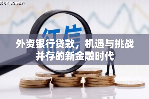 江城外资银行贷款，机遇与挑战并存的新金融时代