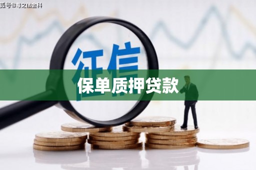 江城保单质押贷款