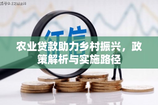 江城农业贷款助力乡村振兴，政策解析与实施路径