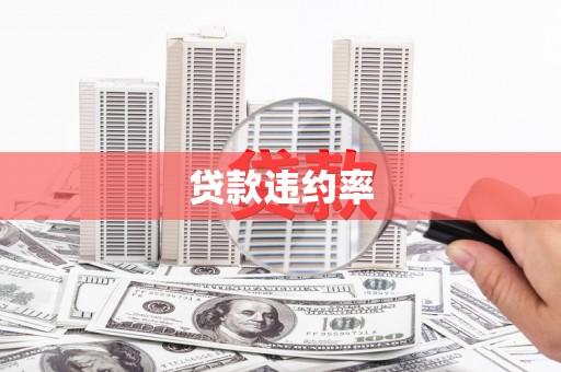 江城贷款违约率
