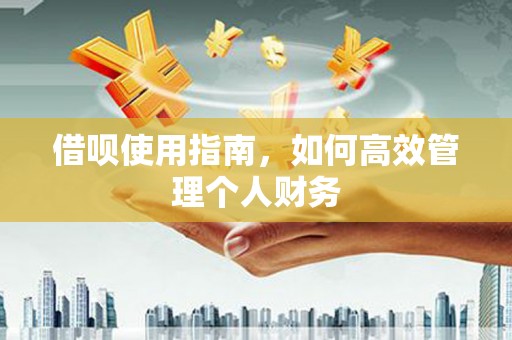 江城借呗使用指南，如何高效管理个人财务