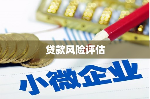 江城贷款风险评估