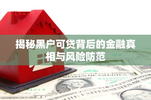 江城揭秘黑户可贷背后的金融真相与风险防范