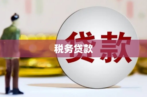 江城税务贷款