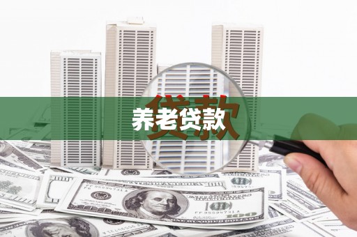 江城养老贷款