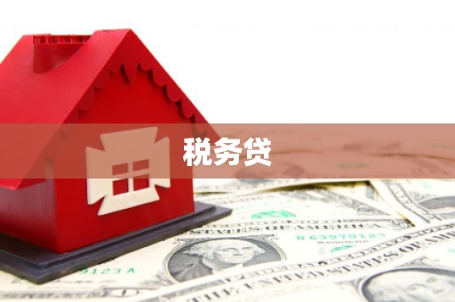 江城税务贷