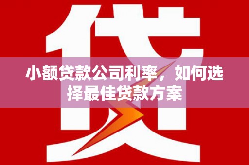 江城小额贷款公司利率，如何选择最佳贷款方案
