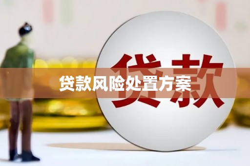 江城贷款风险处置方案