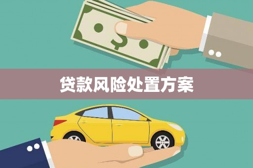 江城贷款风险处置方案