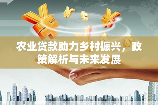 江城农业贷款助力乡村振兴，政策解析与未来发展