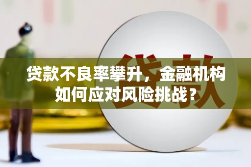 江城贷款不良率攀升，金融机构如何应对风险挑战？