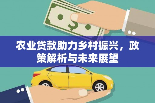 江城农业贷款助力乡村振兴，政策解析与未来展望