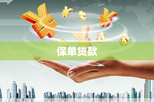 江城保单贷款