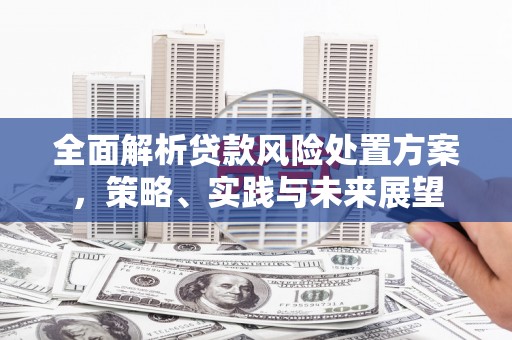 江城全面解析贷款风险处置方案，策略、实践与未来展望