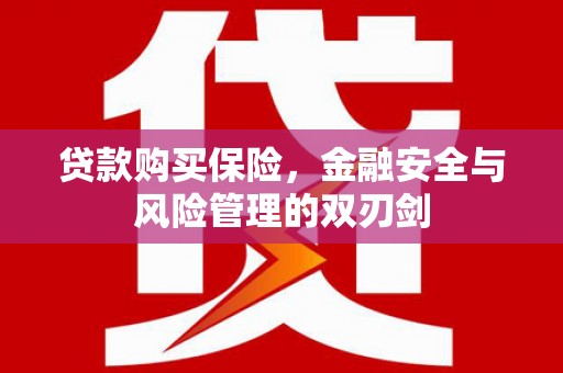 江城贷款购买保险，金融安全与风险管理的双刃剑