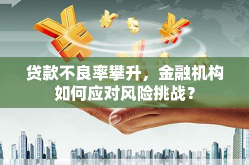 江城贷款不良率攀升，金融机构如何应对风险挑战？