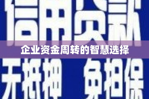江城企业资金周转的智慧选择