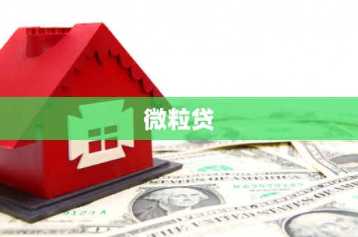 江城微粒贷