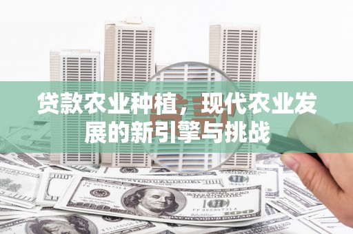 江城贷款农业种植，现代农业发展的新引擎与挑战
