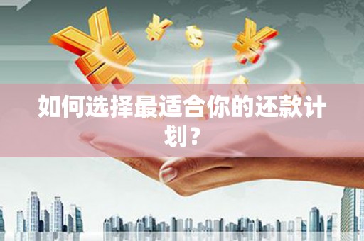 江城如何选择最适合你的还款计划？