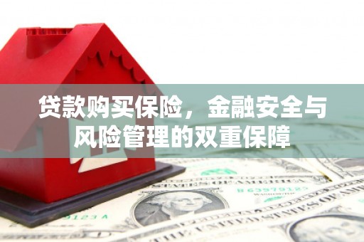 江城贷款购买保险，金融安全与风险管理的双重保障