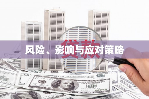 江城风险、影响与应对策略