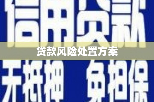 江城贷款风险处置方案