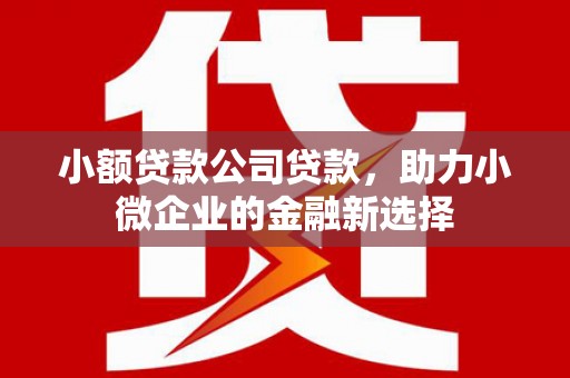 江城小额贷款公司贷款，助力小微企业的金融新选择