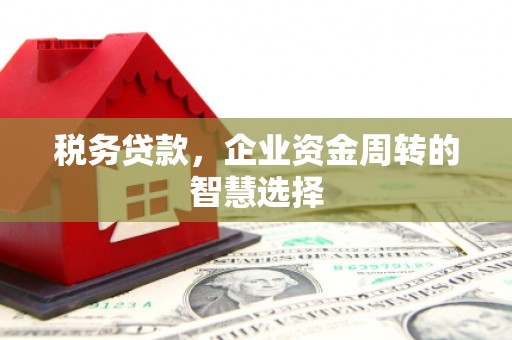 江城税务贷款，企业资金周转的智慧选择