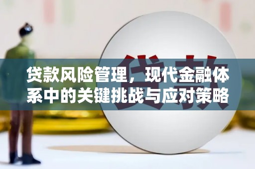 江城贷款风险管理，现代金融体系中的关键挑战与应对策略