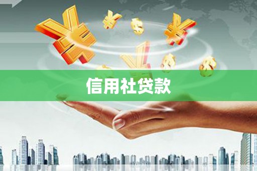 江城信用社贷款