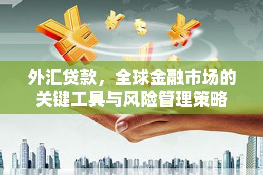 江城外汇贷款，全球金融市场的关键工具与风险管理策略