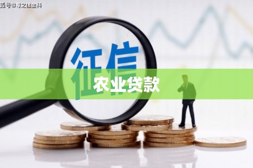 江城农业贷款