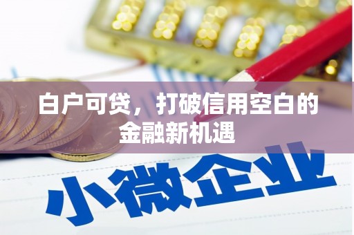 江城白户可贷，打破信用空白的金融新机遇
